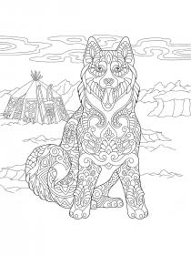 Husky coloring pages for Adults - Free printable