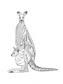 Kangaroos coloring pages for Adults - Free printable