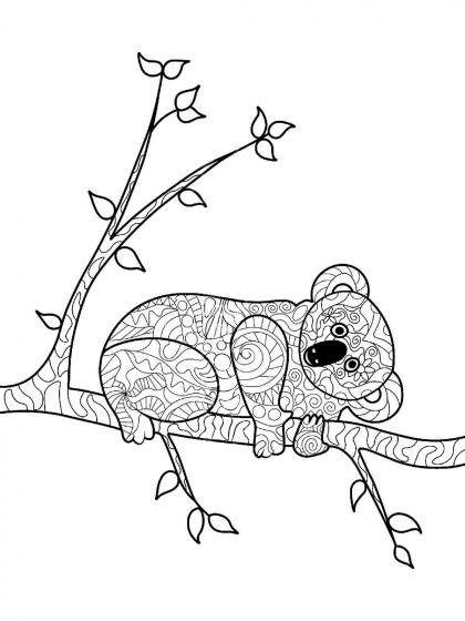 koala coloring pages for adults free download and print