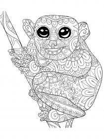 Lemur coloring pages for Adults - Free printable