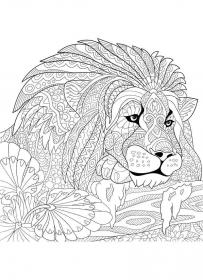 Lion coloring pages for Adults - Free printable