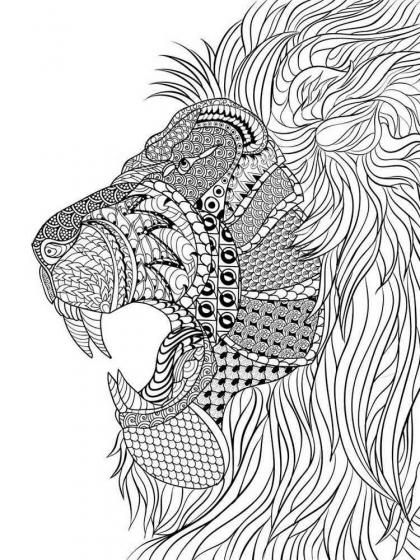 Lion coloring pages for Adults
