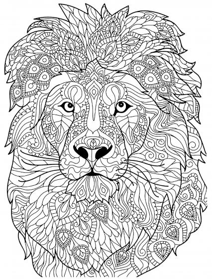 Lion coloring pages for Adults