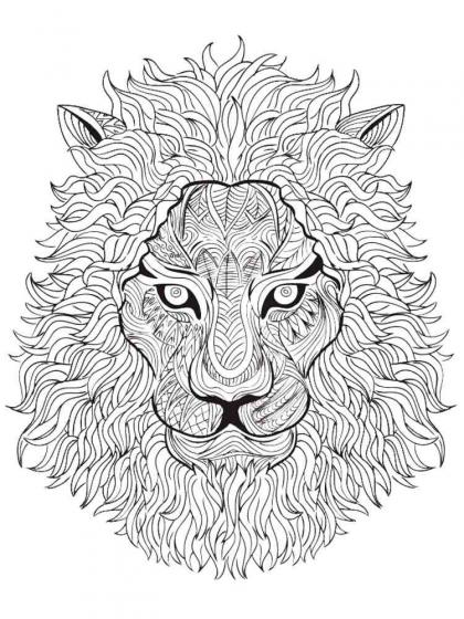 Lion coloring pages for Adults