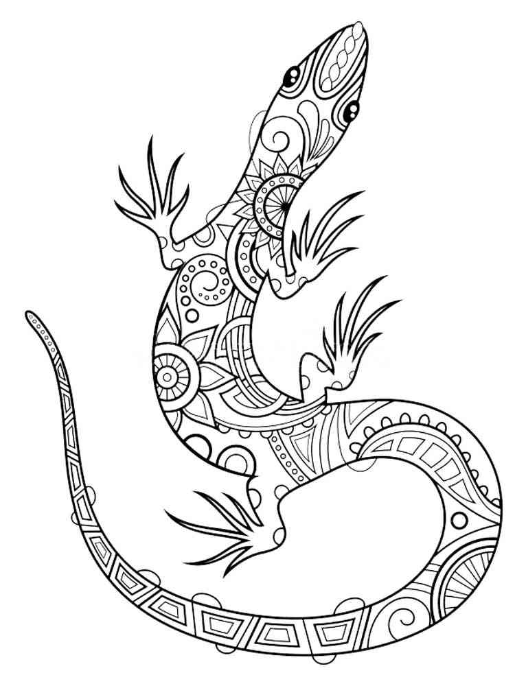 Lizard coloring pages for Adults
