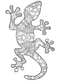 Lizard coloring pages for Adults - Free printable
