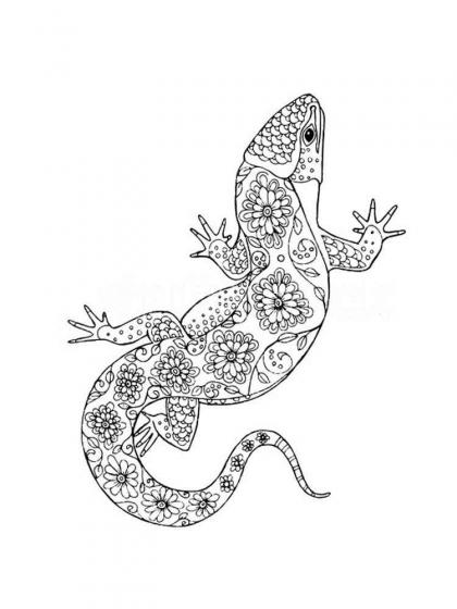 Lizard coloring pages for Adults