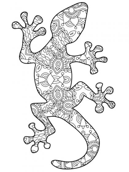 Lizard coloring pages for Adults