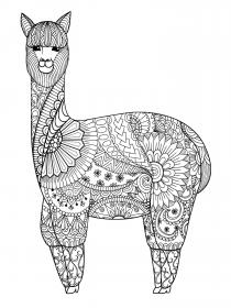 Llama coloring pages for Adults - Free printable