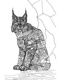 Lynx coloring pages for Adults - Free printable