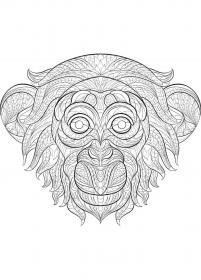 Monkeys coloring pages for Adults - Free printable