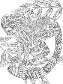 Monkeys coloring pages for Adults - Free printable