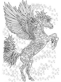 Pegasus coloring pages for Adults - Free printable
