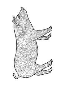 Pig coloring pages for Adults - Free printable