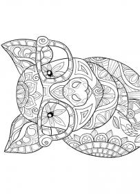 Pig coloring pages for Adults - Free printable
