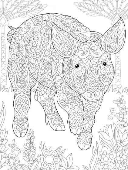 Pig coloring pages for Adults