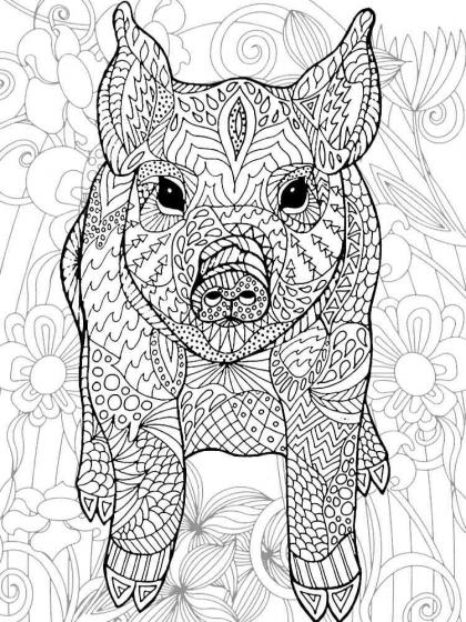 Pig coloring pages for Adults