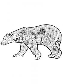 Polar Bear coloring pages for Adults - Free printable