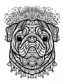 Pug coloring pages for Adults - Free printable