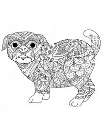 Pug coloring pages for Adults - Free printable