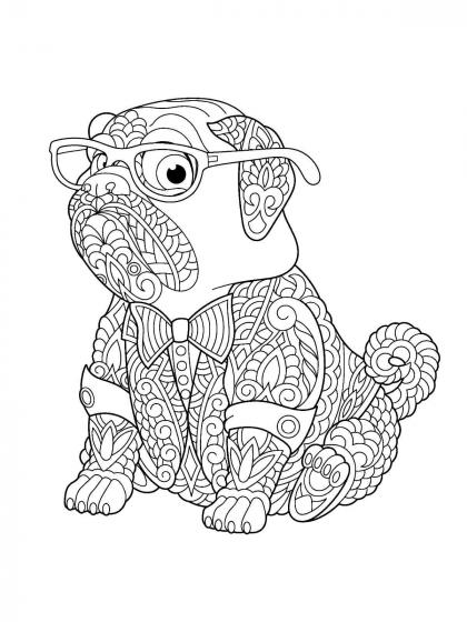 Mops Ausmalbilder für Erwachsene