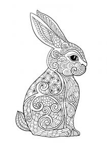 Rabbit coloring pages for Adults - Free printable