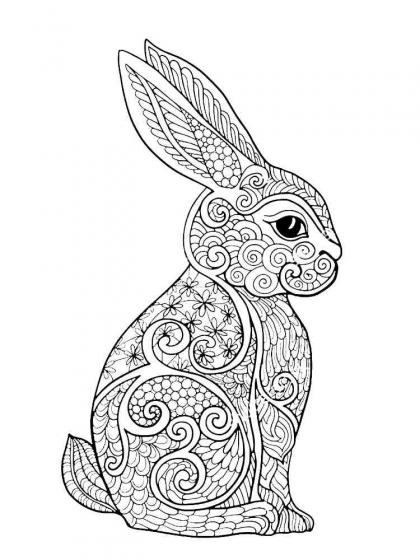 Rabbit coloring pages for Adults | Free Download and Print