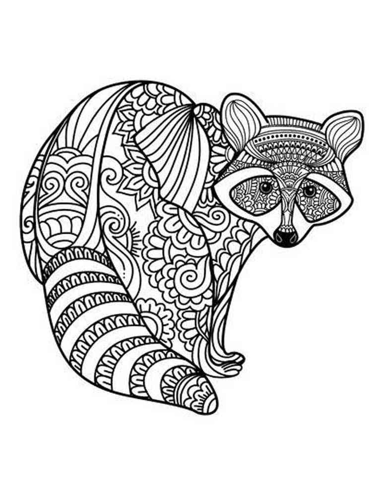 Raccoon Coloring Book For Adults Relaxation: Cute and Amazing Animal  Designs for Relaxation, Stress-relief Coloring Book For Adults and  Grown-ups, 52 (Paperback)