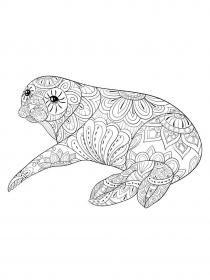 Seal coloring pages for Adults - Free printable