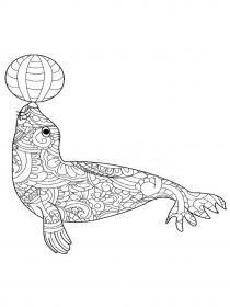 Seal coloring pages for Adults - Free printable