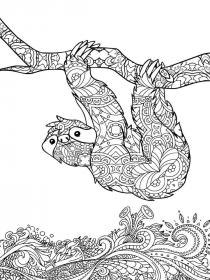 Sloth coloring pages for Adults - Free printable