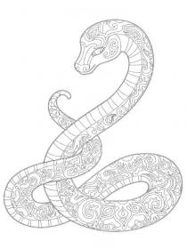 Snakes coloring pages for Adults - Free printable
