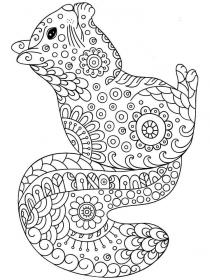 Squirrel coloring pages for Adults - Free printable