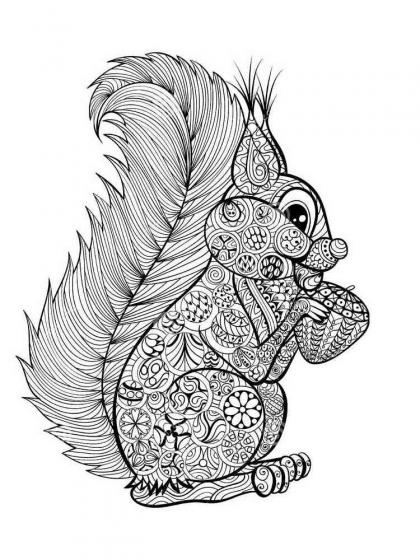 Squirrel coloring pages for Adults