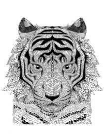Tiger coloring pages for Adults - Free printable