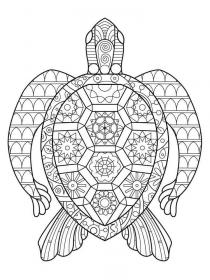 Turtles coloring pages for Adults - Free printable