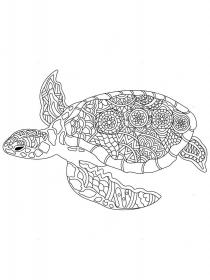 Turtles coloring pages for Adults - Free printable