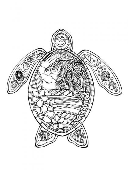 Turtle coloring pages for Adults | Free Download and Print