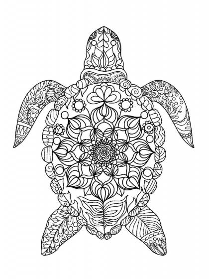 Turtle coloring pages for Adults