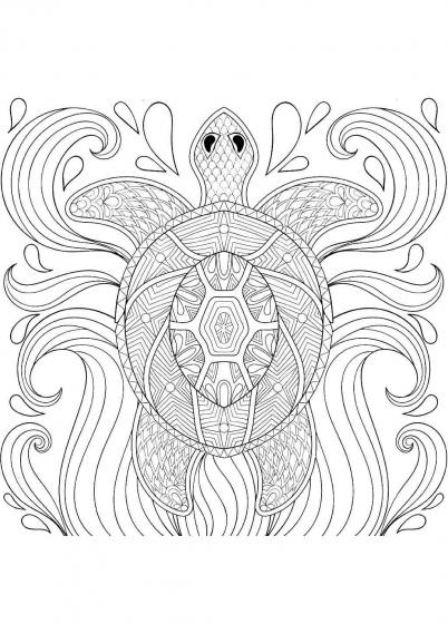 Turtle coloring pages for Adults