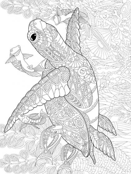 Turtle coloring pages for Adults