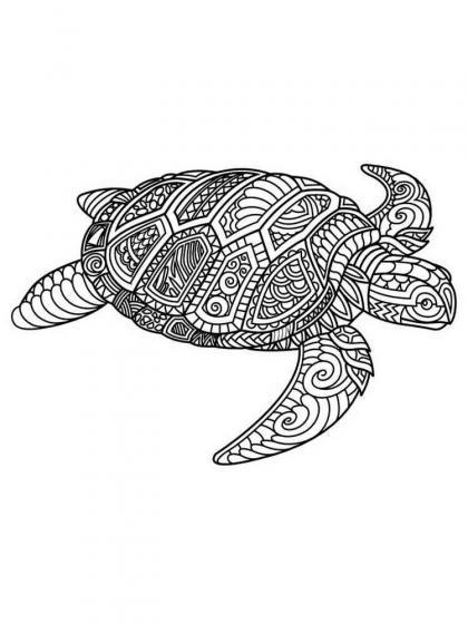 Turtle coloring pages for Adults