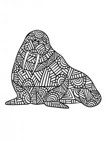Walrus coloring pages for Adults - Free printable