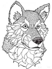Wolf coloring pages for Adults - Free printable