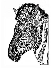 Zebra coloring pages for Adults - Free printable