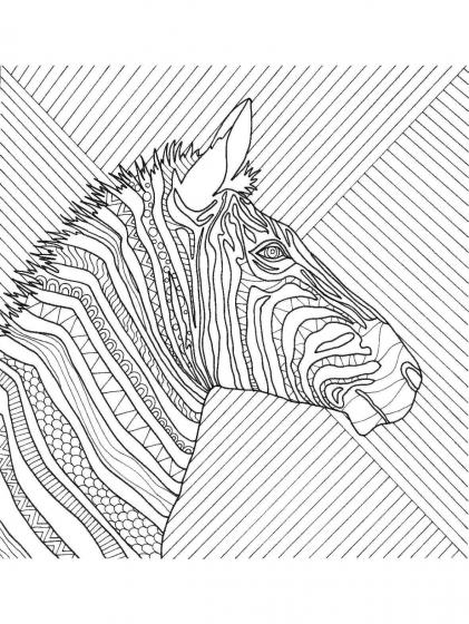 Zebra coloring pages for Adults | Free Download and Print