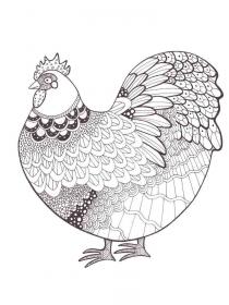 Chicken coloring pages for Adults - Free printable