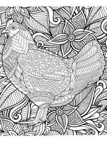 Chicken coloring pages for Adults - Free printable