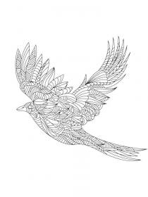 Crow coloring pages for Adults - Free printable