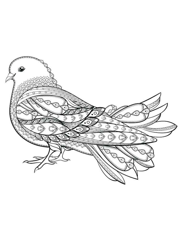 Dove coloring pages for Adults